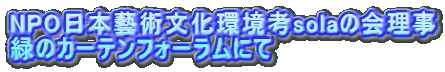 NPO{Yplsolả ΂̃J[etH[ɂ